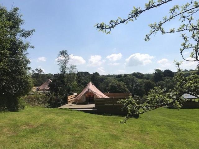 Willow Valley Glamping Bude Dış mekan fotoğraf